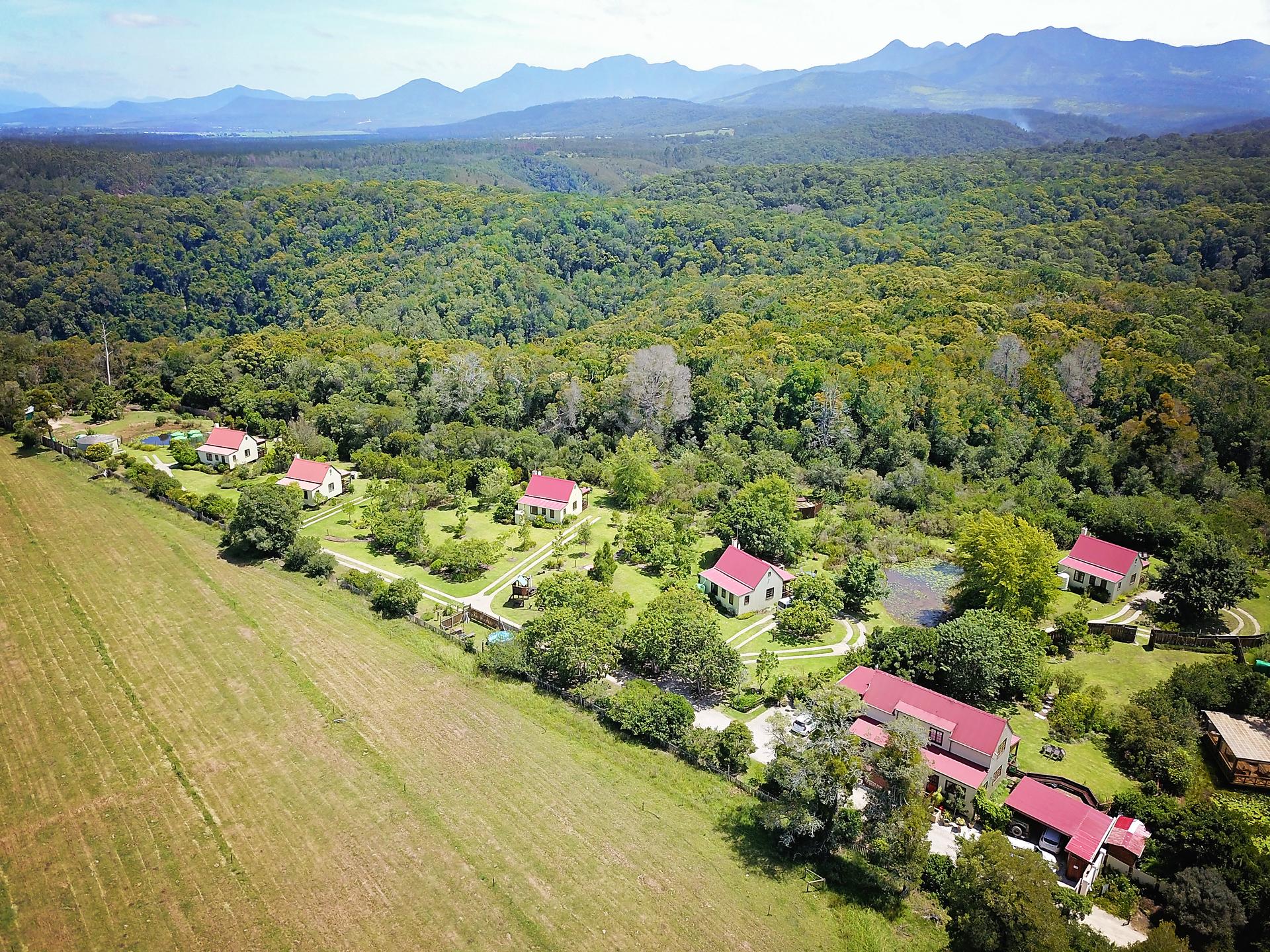 Forest Edge Rheenendal Dış mekan fotoğraf