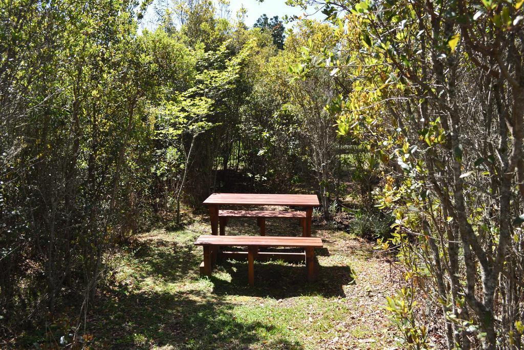 Forest Edge Rheenendal Dış mekan fotoğraf